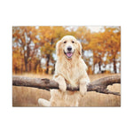 Your Dog, Framed — Custom Pet Portrait Canvas