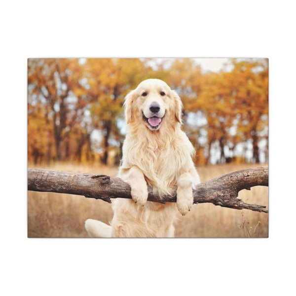 Your Dog, Framed — Custom Pet Portrait Canvas