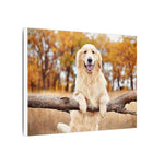 Your Dog, Framed — Custom Pet Portrait Canvas